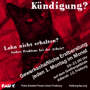 Eine schwarze Katze feilt sich die Krallen mit einer Nagelfeile